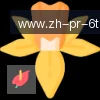 6T体育 logo