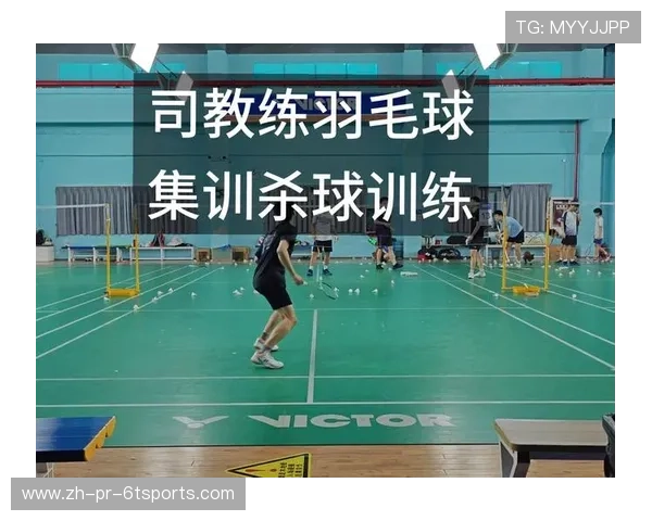 羽毛球男单集训