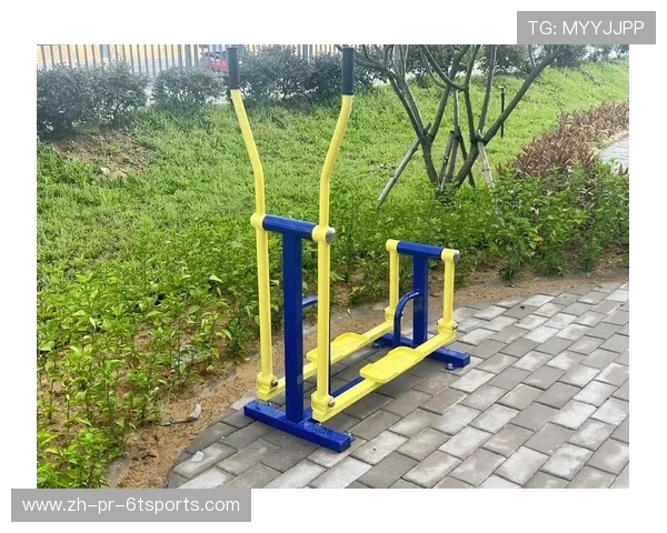 针对背部和腰部锻炼的健身器材推荐